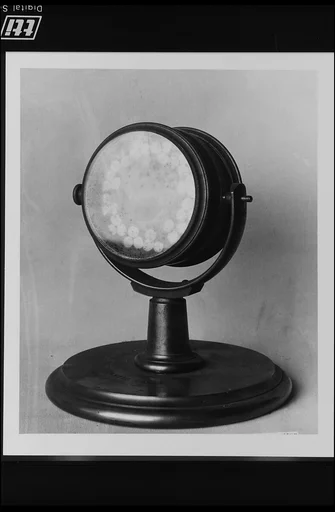 Specimen of the Atlantic Cable