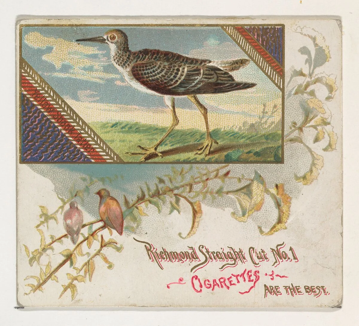 Yellow Shank Tatler, from the Game Birds series (N40) for Allen & Ginter Cigarettes — Allen & Ginter