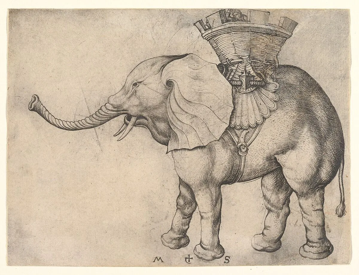 The Elephant — Martin Schongauer