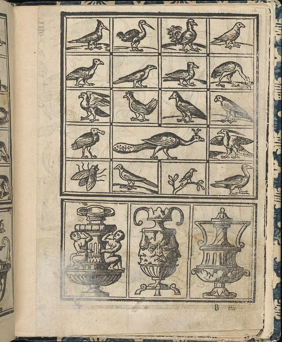 Essempio di recammi, page 12 (recto) — Giovanni Antonio di Nicolini da Sabio e i fratelli|Giovanni Antonio Tagliente