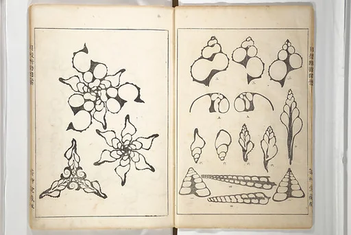貝殻断面図案|Shell Motifs (Kaigara dammen zuan) 貝殻断面図案