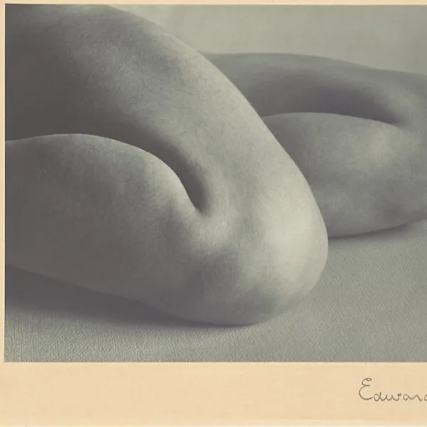 Nude — Edward Weston