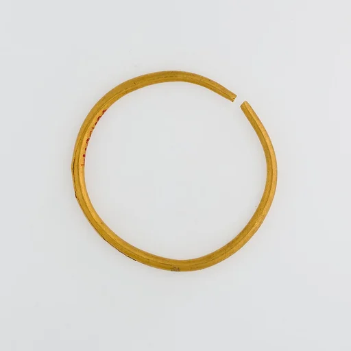 Hoop Earring