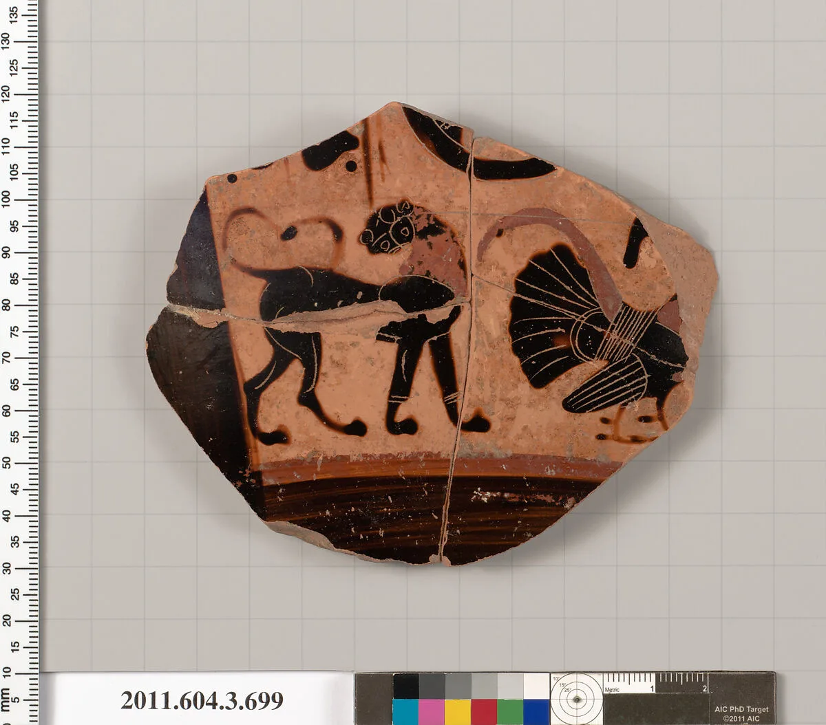Terracotta fragment of a hydria (water jar) — Unknown