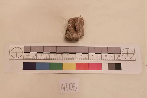 Stucco Fragment
