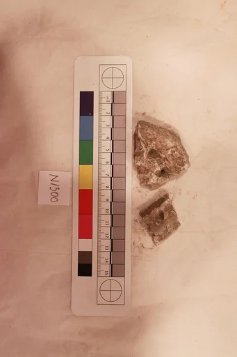 Stucco Fragment
