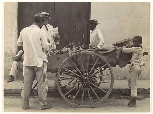 [Pineapple Vendor, Havana]