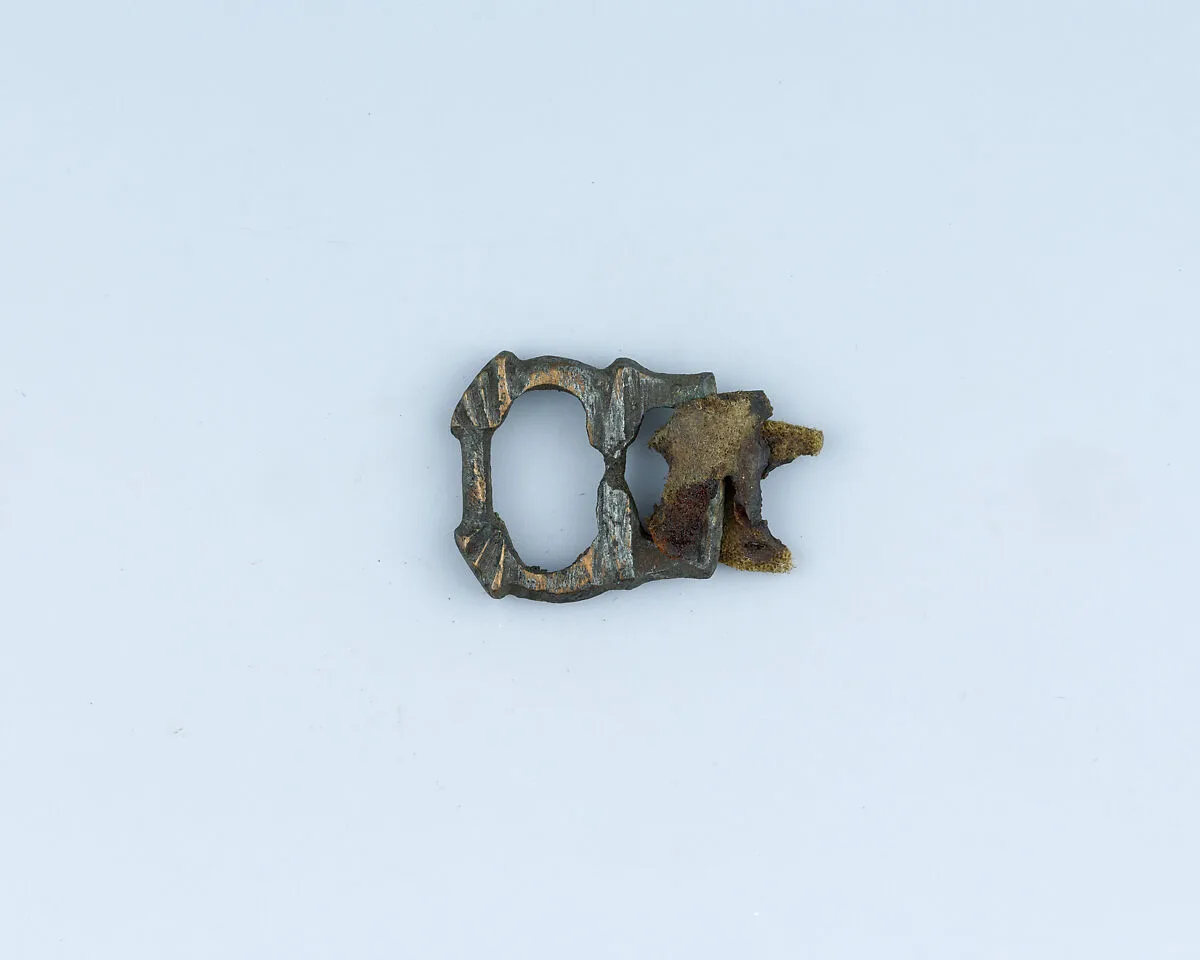 Buckle — Unknown
