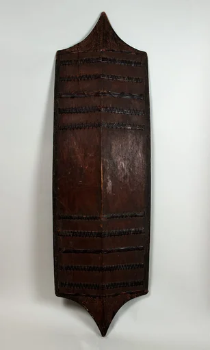 Shield