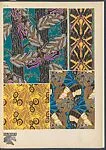 Papillons, Pl. 20 — Emile-Allain Séguy|Tolmer Editeur