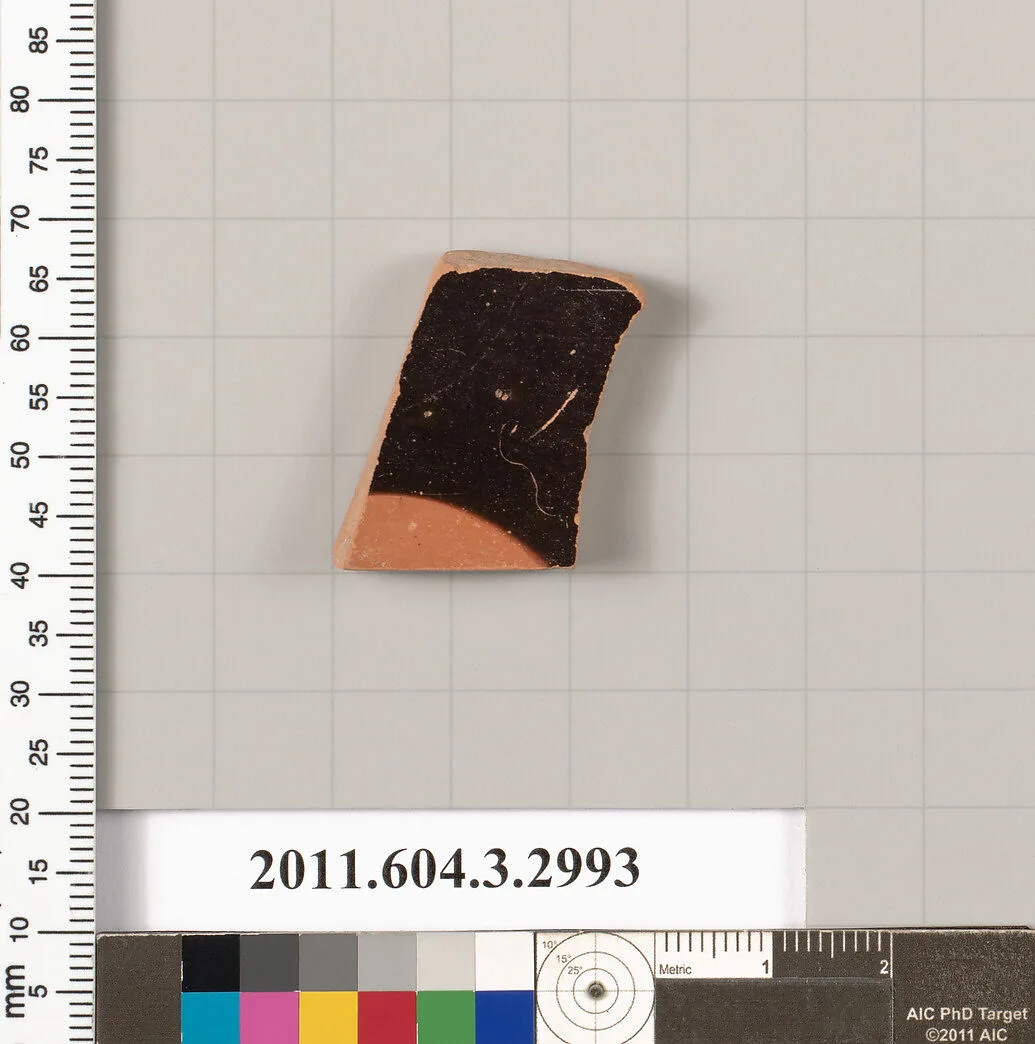 Terracotta fragment of a kylix (drinking cup) — Unknown