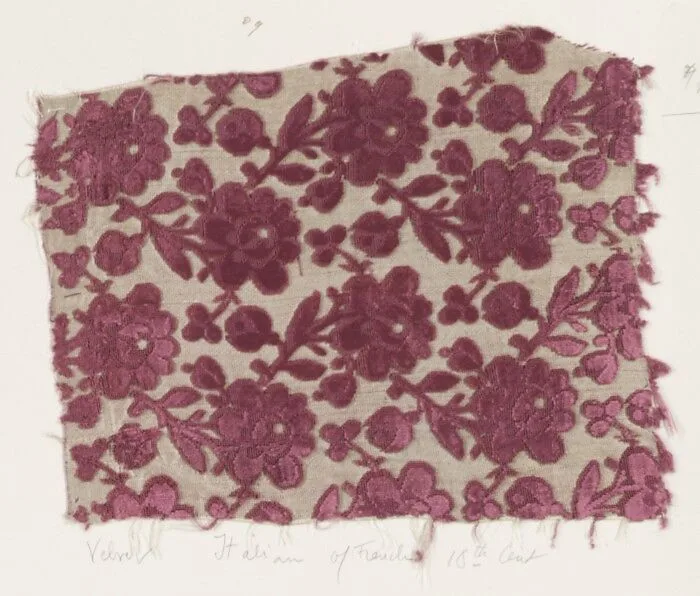 Fragment — Unknown