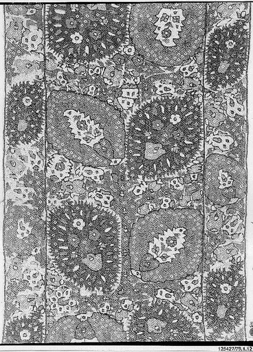 Textile Fragment