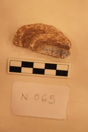 Stucco Fragment