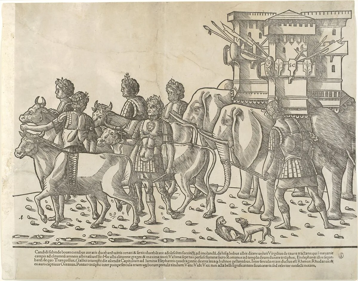 Oxen and elephants, from 'The Triumph of Caesar' — Jacob of Strasbourg|Benedetto Bordone
