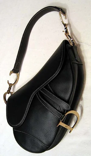 "Dior Saddle Bag"