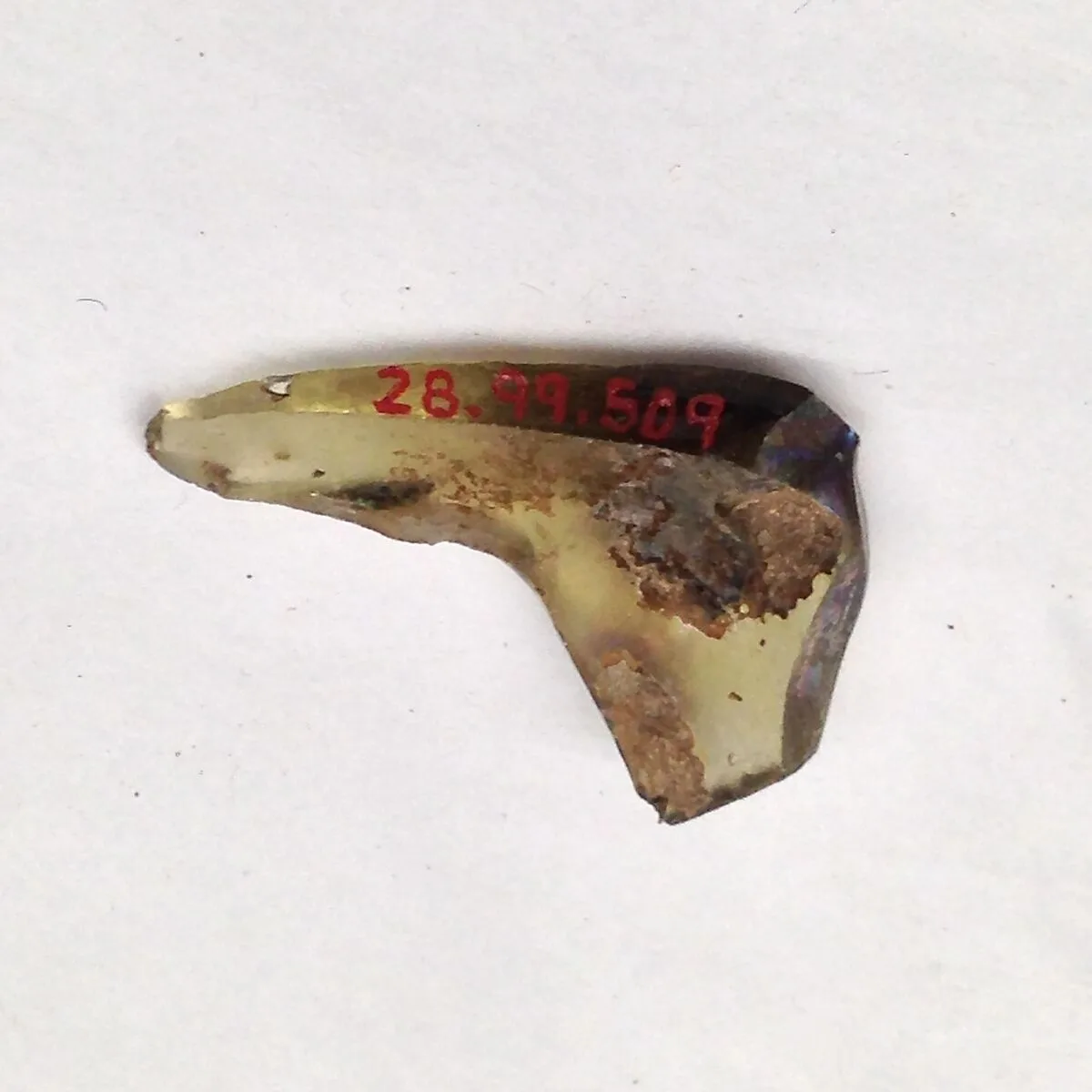 Fragment — Unknown