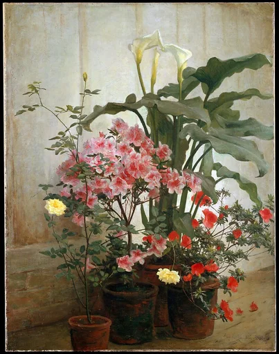 Side of a Greenhouse