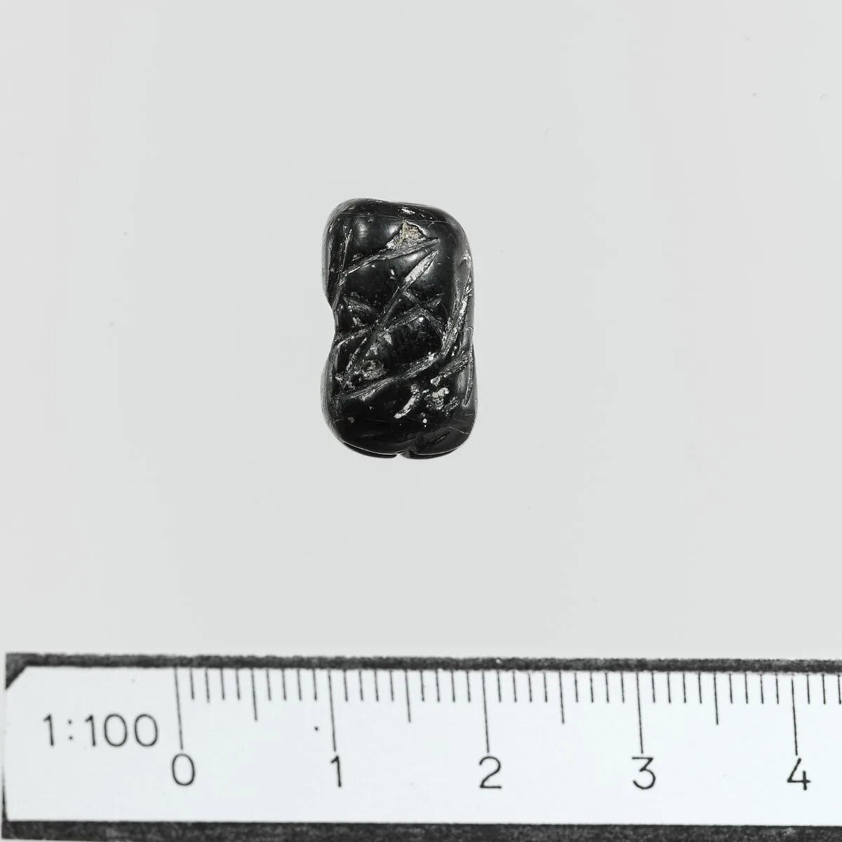 Seal — Unknown