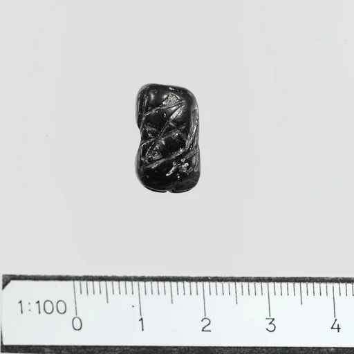 Seal