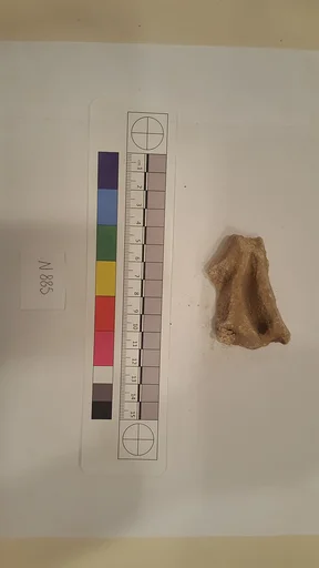 Stucco Fragment