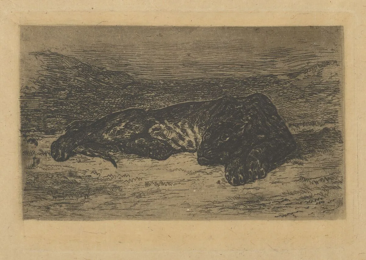 Tiger Lying in the Desert — Eugène Delacroix