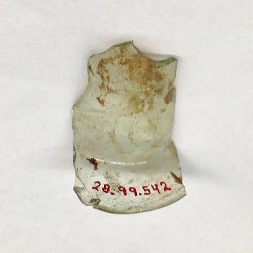 Fragment