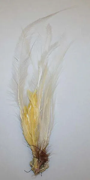 Aigrette — Unknown