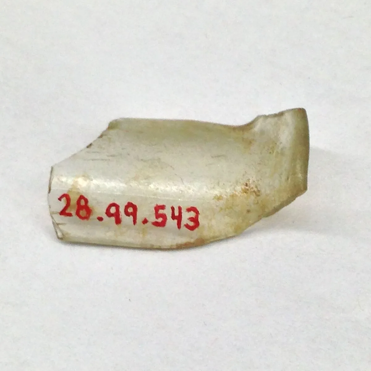 Fragment — Unknown