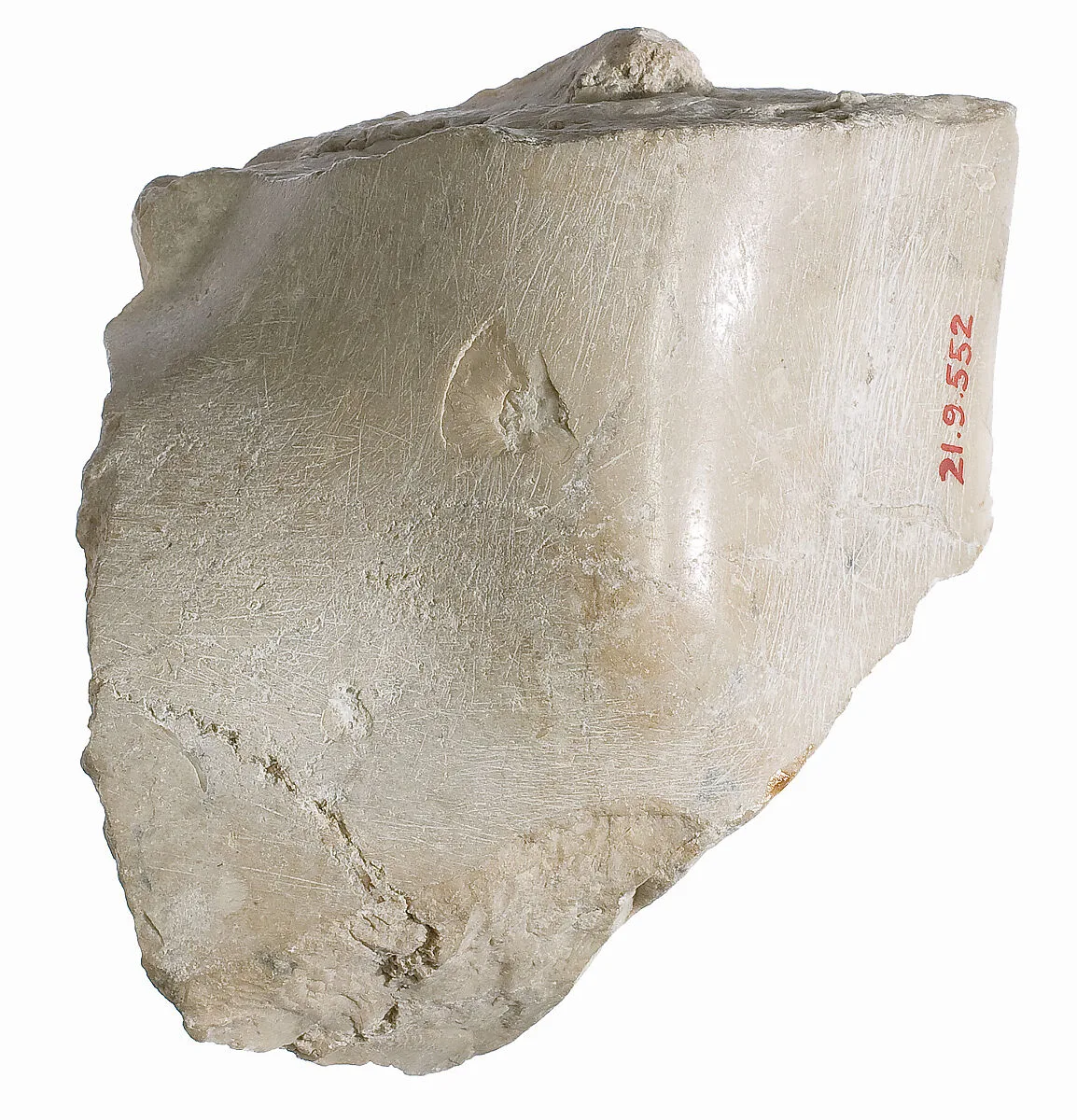 Foot fragment — Unknown