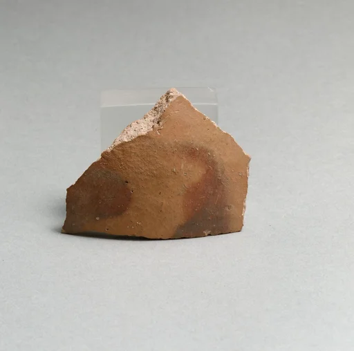 Vase fragment