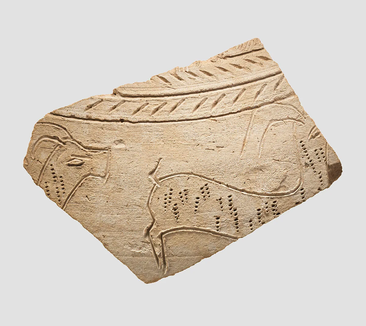 Sherd with incised decoration — Unknown