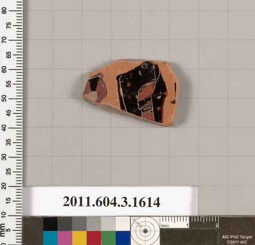 Terracotta fragment of a kylix: Band cup (drinking cup)