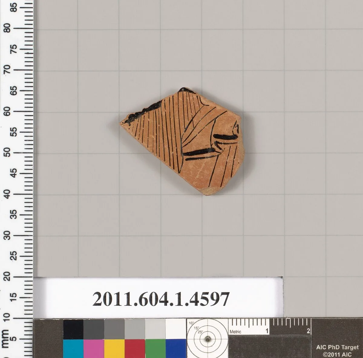Terracotta fragment of a kylix (drinking cup) — Unknown
