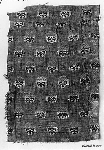 Textile Fragment