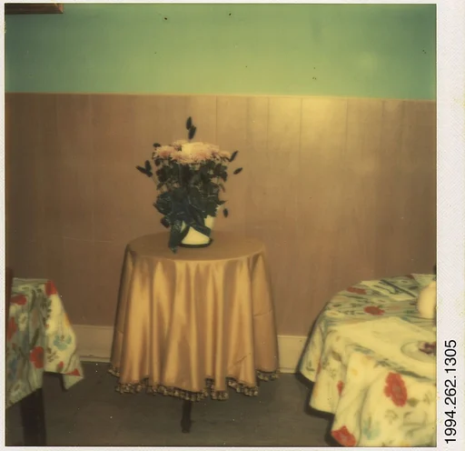 [Carnations on Table]
