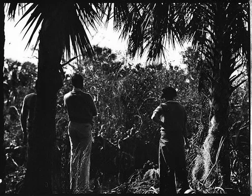 [Unidentified Group in Everglades, Florida]
