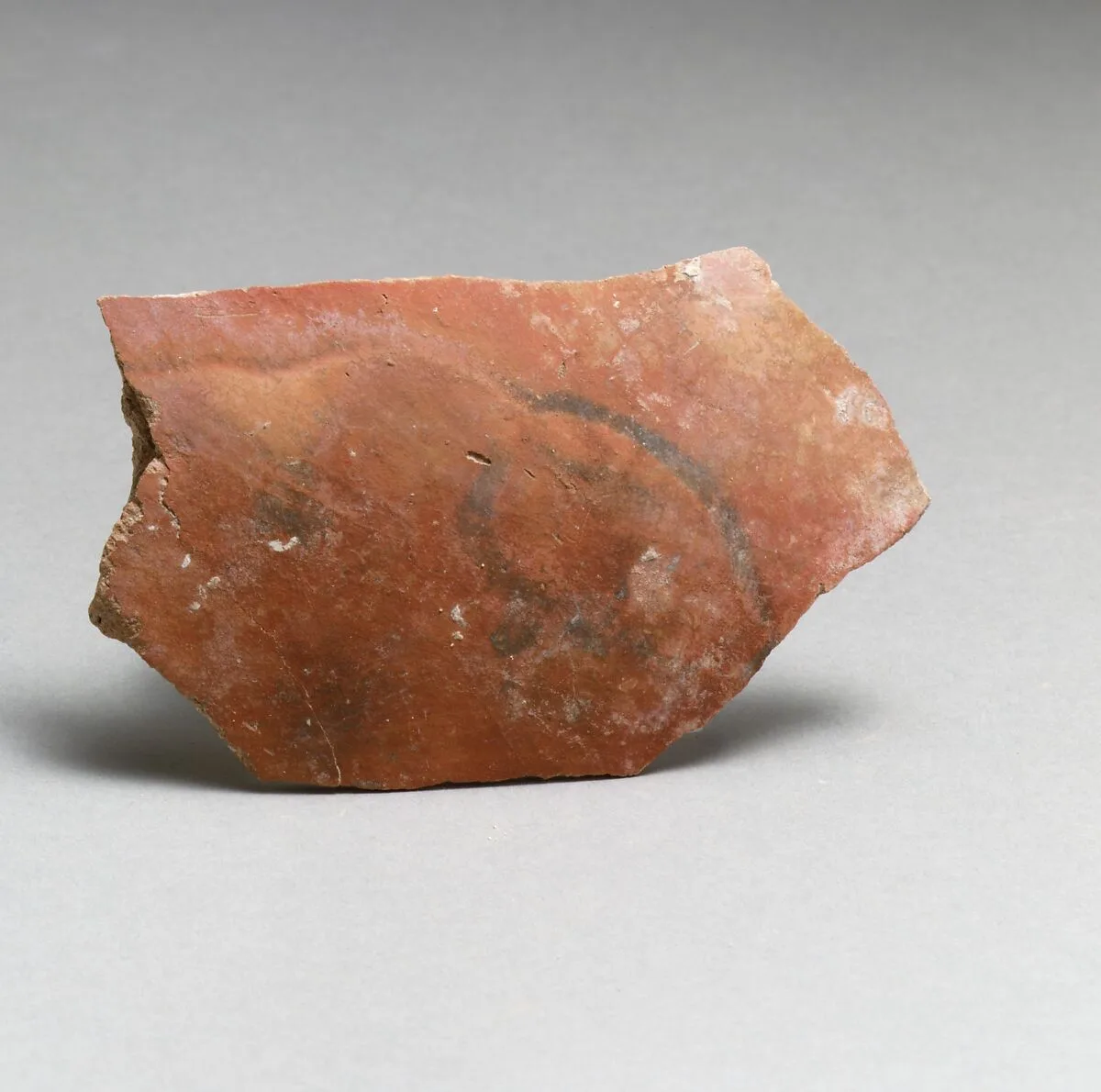 Vase fragment — Unknown