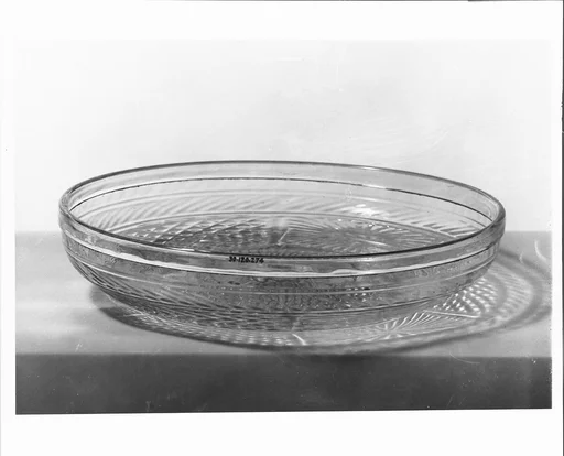 Rayed Dish