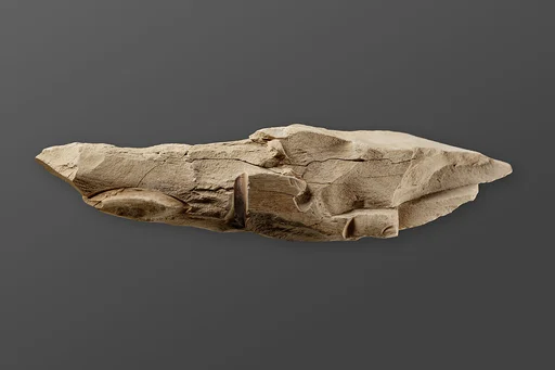 Relief fragment possibly from the tomb of Mereri