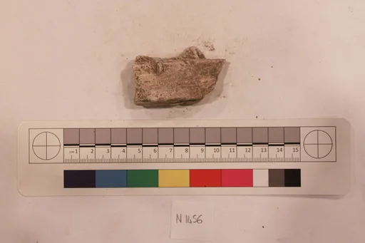 Stucco Fragment