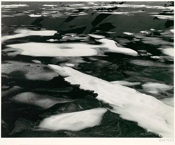 Iceberg Lake — Edward Weston|Brett Weston|Cole Weston