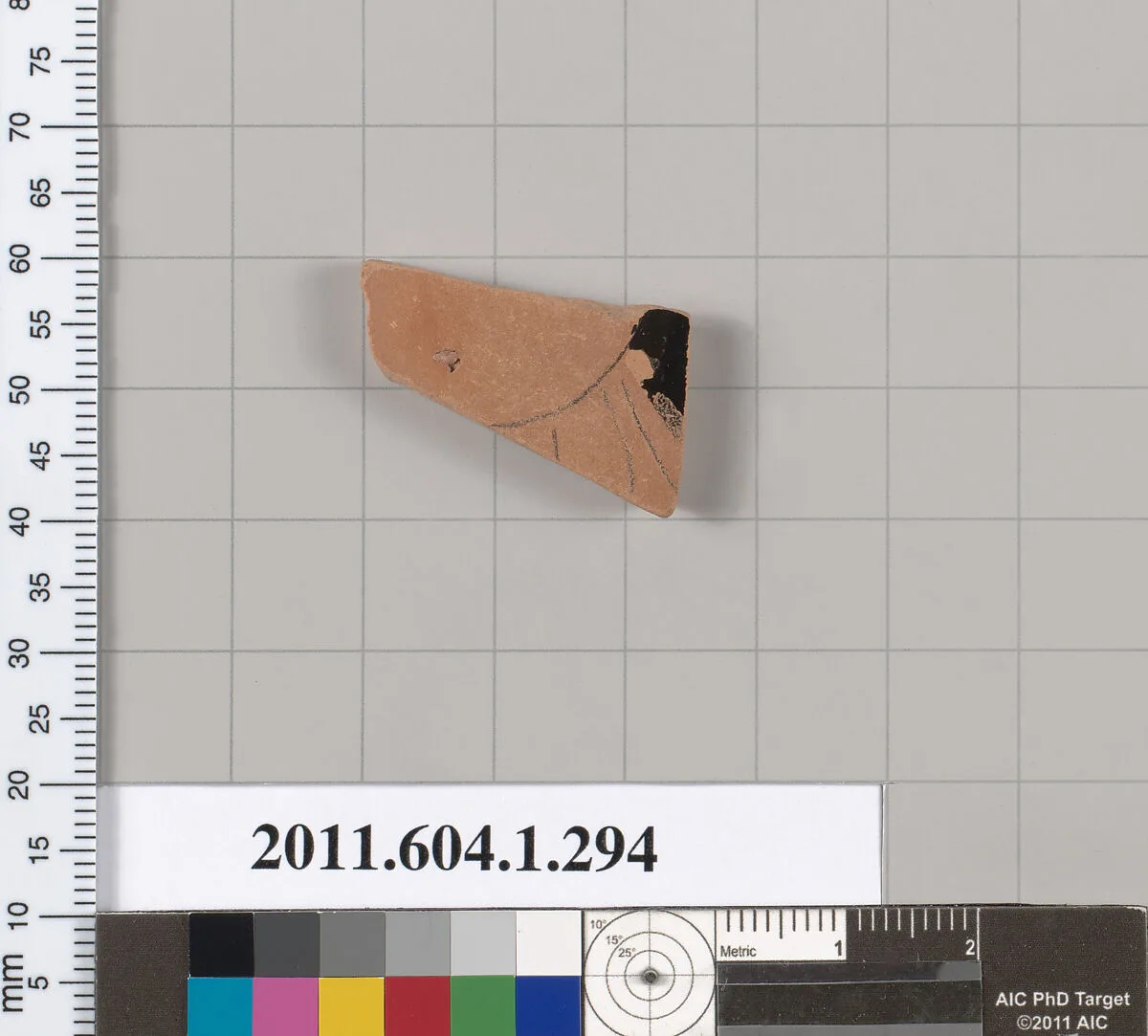 Terracotta fragment of a kylix (drinking cup) — Unknown