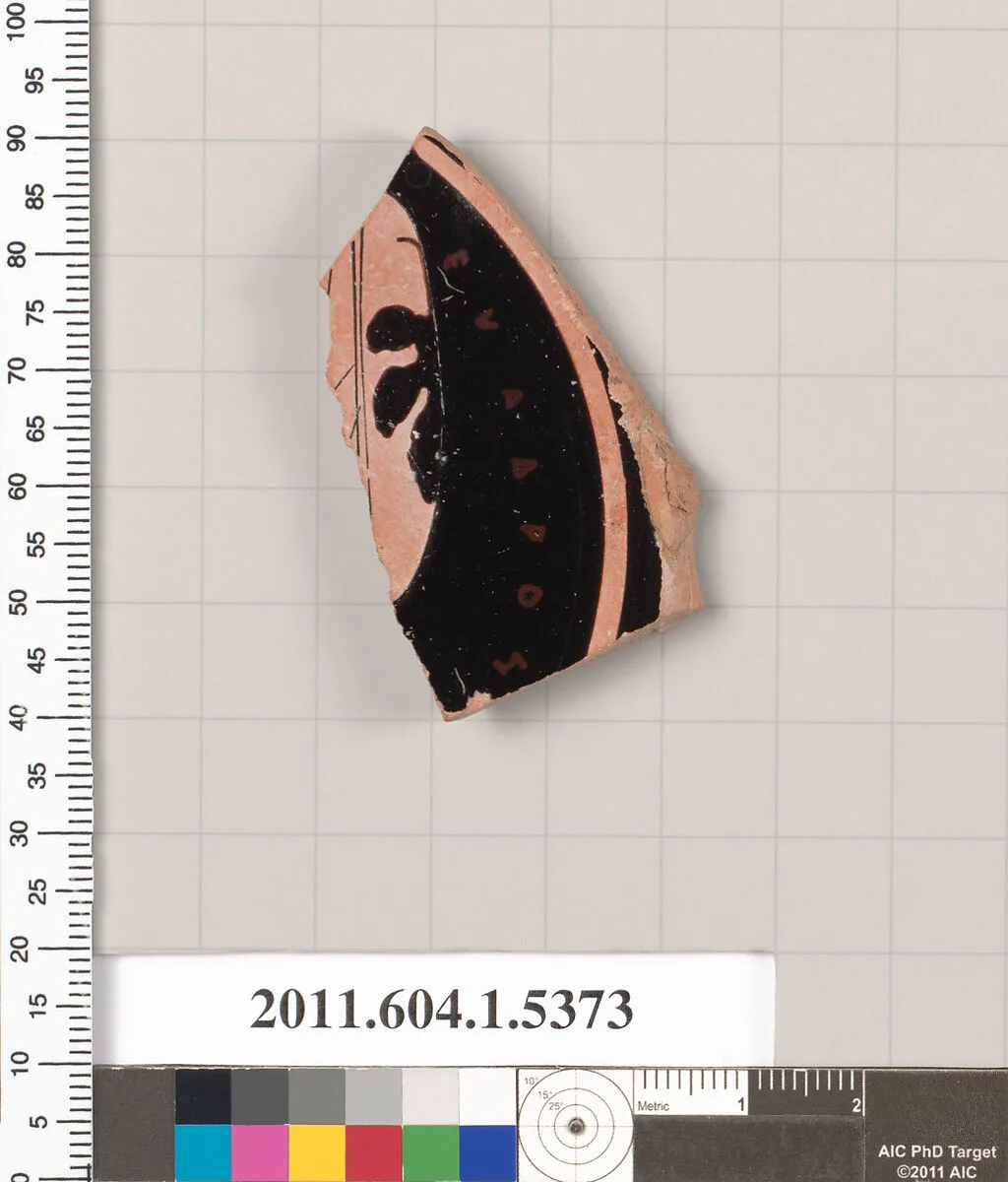 Terracotta fragment of a kylix (drinking cup) — Unknown