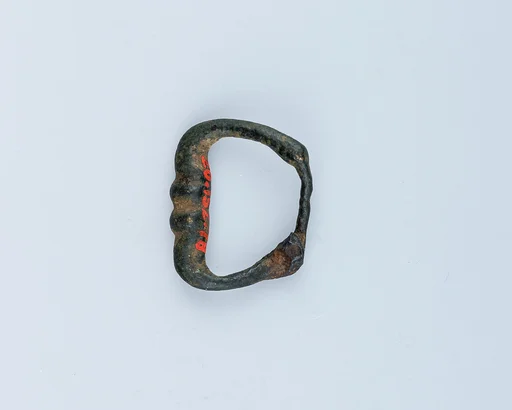 Buckle Loop