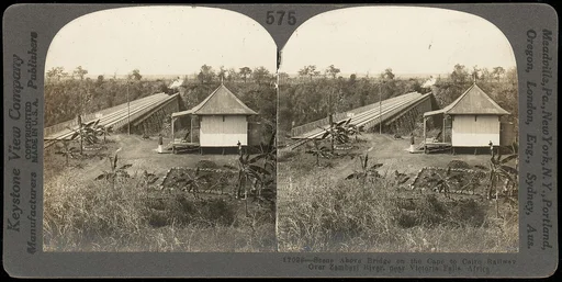 [Group of 14 stereographs of Africa and Actors]