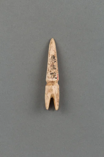 装身具|Body ornament