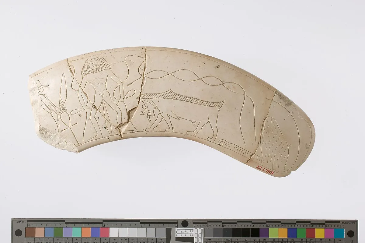 Magic Wand fragment — Unknown