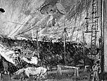 Circus — Everett Shinn