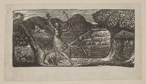 Shepherd Chases Away a Wolf, from Thornton's "Pastorals of Virgil"